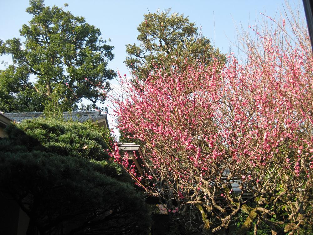 Gyokutei Hotel Hakone Exterior photo